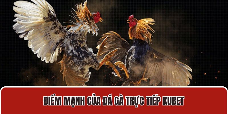 Điểm mạnh của đá gà trực tiếp Kubet