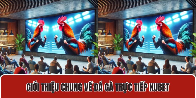 Giới thiệu chung về đá gà trực tiếp Kubet